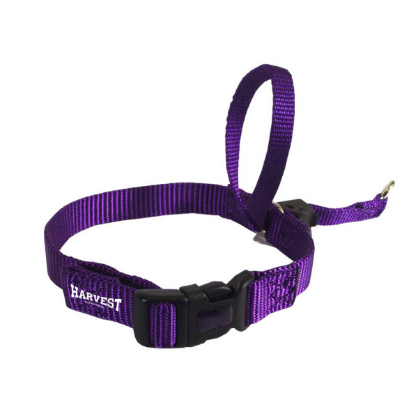 Head Harness