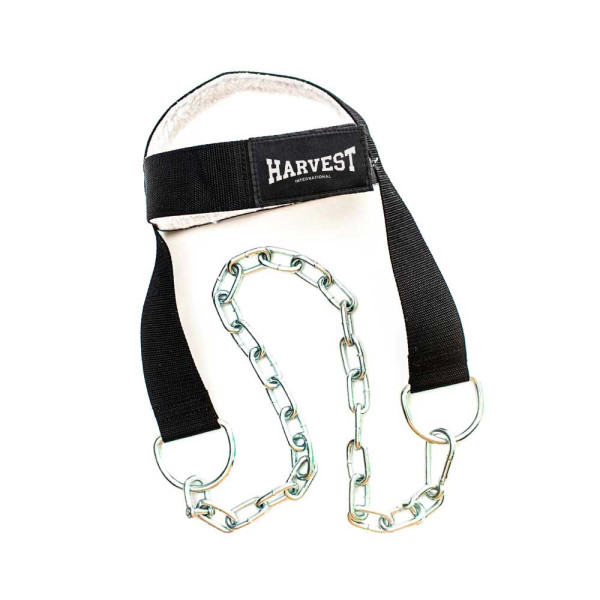 Head Harness