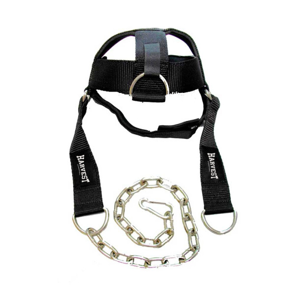 Head Harness