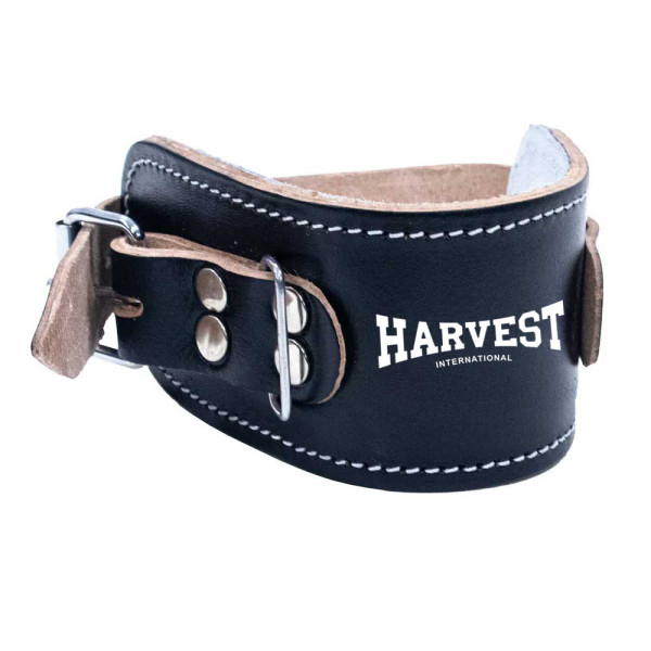 Leather Ankle Straps