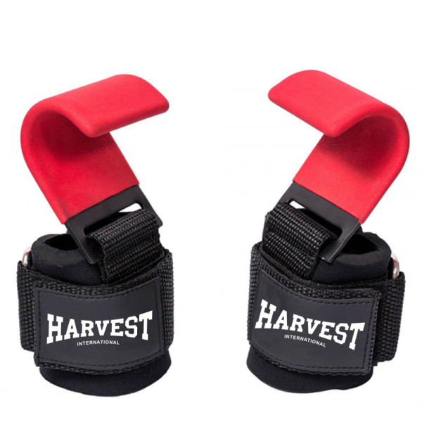 Lifting Hooks