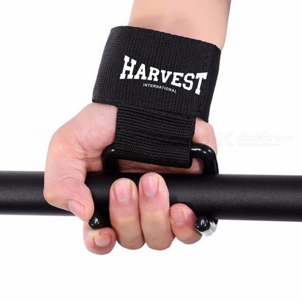 Lifting Hooks