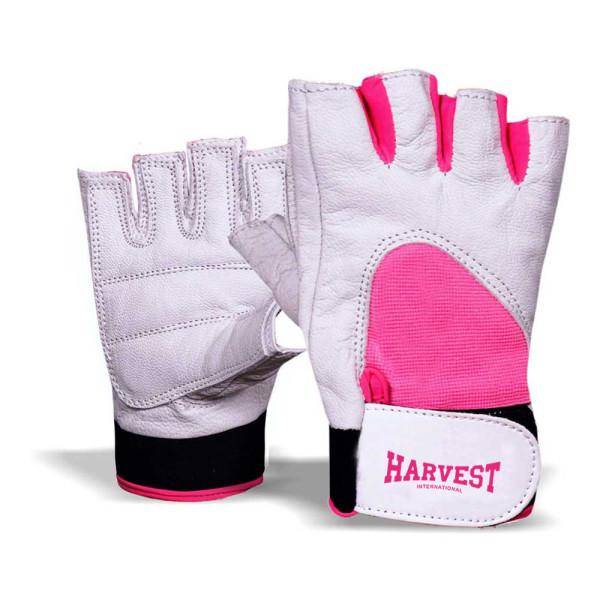 Weight Lifting Gloves