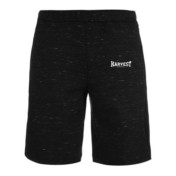 Gym Shorts