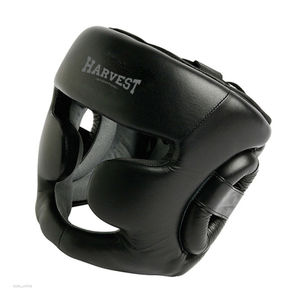 MMA Head Guard