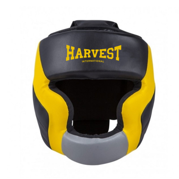 MMA Head Guard