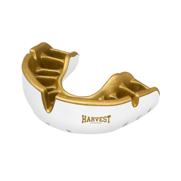 Mouth guard