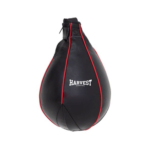 Punching Bag