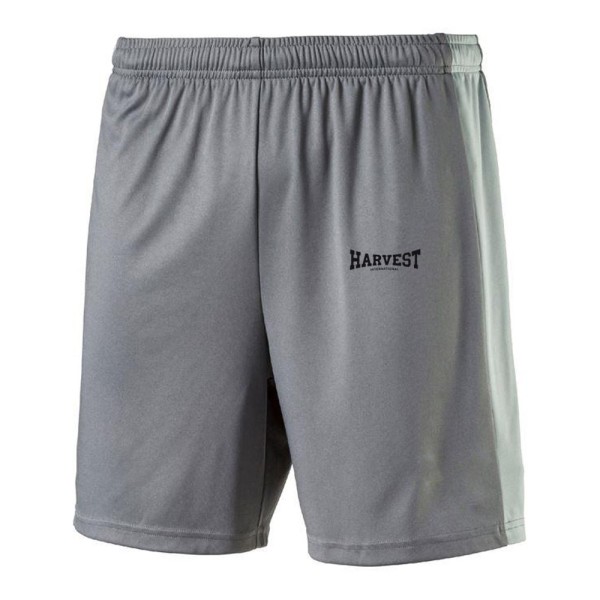 Gym Shorts