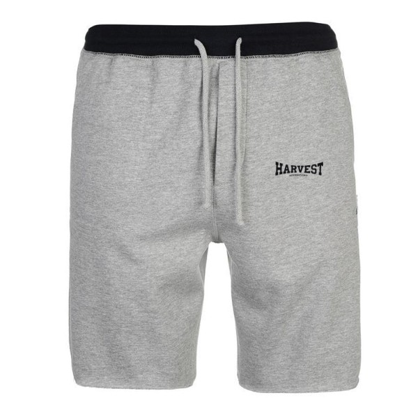 Gym Shorts