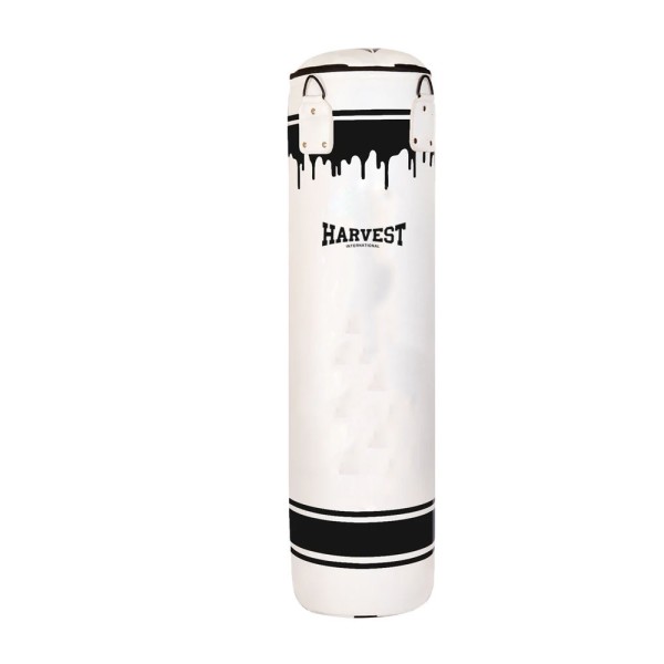 Punching Bag